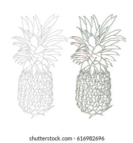 Pineapple hand-drawn line, black graphics. 3D in three colors red, green and blue.