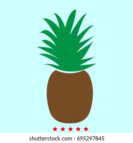 Pineapple icon .
