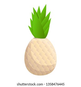 Pineapple icon. Cartoon of pineapple vector icon for web design isolated on white background