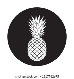 Pineapple icon. Pineapple in the circle sign isolated on white background. Vector illustration