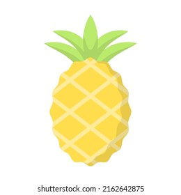 Pineapple icon design template vector illustration