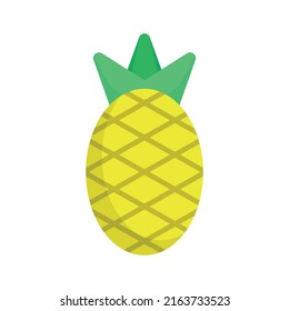 pineapple icon design template vector illustration