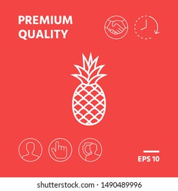 Pineapple icon, elements for your design