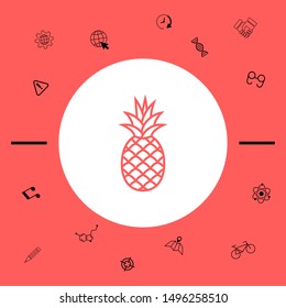 Pineapple icon, elements for your design
