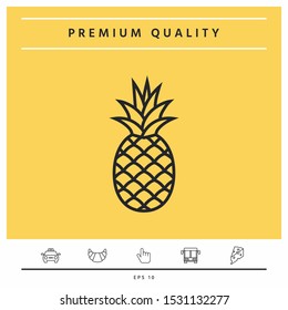 Pineapple icon, elements for your design