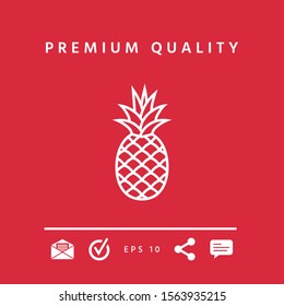 Pineapple icon, elements for your design