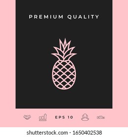 Pineapple icon, elements for your design