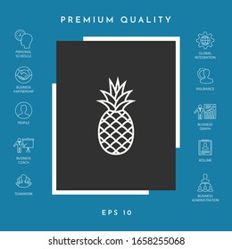 Pineapple icon, elements for your design