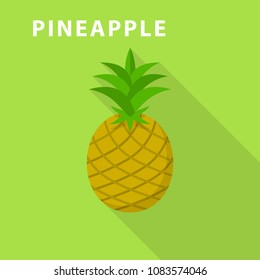 Pineapple icon. Flat illustration of pineapple vector icon for web design