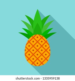 Pineapple icon. Flat illustration of pineapple vector icon for web design