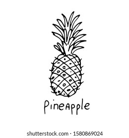A pineapple. Icon food image. Doodle drawing, simple hand drawn illustration on white backgroung. Design for coloring book page