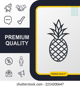 Pineapple icon graphic element. Modern design.