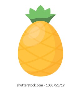 pineapple icon image