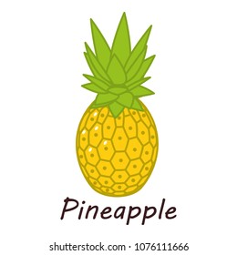 Pineapple icon. Isometric illustration of pineapple vector icon for web