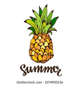 Pineapple icon, logo. Hand drawn isolated on white background. Summer handwriting font, lettering