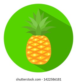pineapple icon with long shadow on circle green background, flat design - Vector 