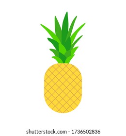 Pineapple icon on white background. Ripe exotic fruit on flat style. Isolated vector illustration.