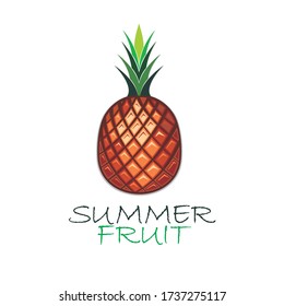 Pineapple icon on white background. Vector illustration