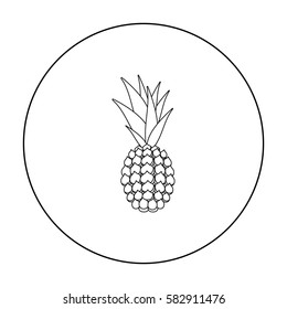 Pineapple icon outline. Singe fruit icon.
