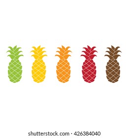 Pineapple icon set colorful flat design isolated on white background. Vector illustration. Green, yellow, orange, red, brawn silhouette.