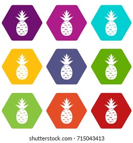 Pineapple icon set many color hexahedron isolated on white vector illustration