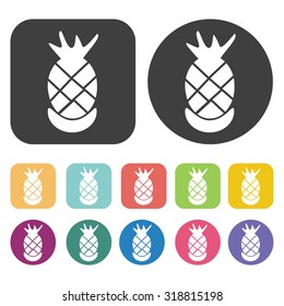 pineapple icon set. Vector Illustration eps10
