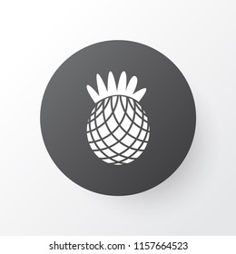 Pineapple icon symbol. Premium quality isolated ananas element in trendy style.