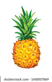 Pineapple icon. Tropical exotic fruit shape pattern. Pineapple hand drawn watercolor vector graphics