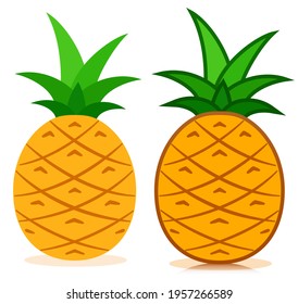 Pineapple icon tropical fruit vector