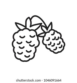 pineapple icon vector