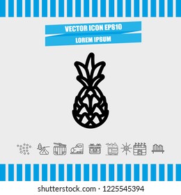 pineapple icon vector