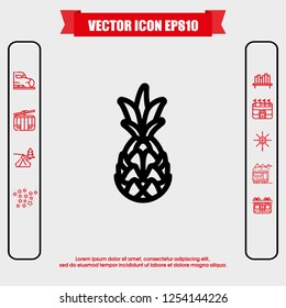 pineapple icon vector