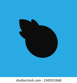 pineapple icon vector