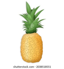 Pineapple icon vector illustration isolated in a white background