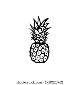 pineapple icon. vector pineapple sign. fruit symbol