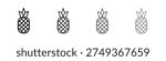 Pineapple icons set. Set of line vector icon with editable stroke