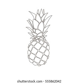 pineapple illustration