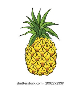 Pineapple illustration ,can use fot tshirt ,logo or more