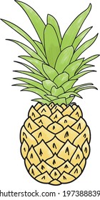 Pineapple Illustration Design. Pineapple clipart colorful