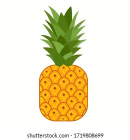 Pineapple. Illustration of pineapple fruit with isolated cartoon style on white. summer fruits, for a healthy and natural life,