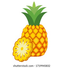 Pineapple. Illustration of pineapple fruit with isolated cartoon style on white. summer fruits, for a healthy and natural life,vector illustration.