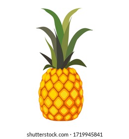 Pineapple. Illustration of pineapple fruit with isolated cartoon style on white. summer fruits, for a healthy and natural life,vector illustration.