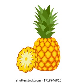 Pineapple. Illustration of pineapple fruit with isolated cartoon style on white. summer fruits, for a healthy and natural life, Vector illustration.