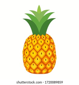 Pineapple. Illustration of pineapple fruit with isolated cartoon style on white. summer fruits, for a healthy and natural life, Vector illustration.