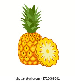 Pineapple. Illustration of pineapple fruit with isolated cartoon style on white. summer fruits, for a healthy and natural life,