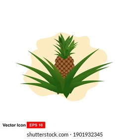 Pineapple. Illustration of pineapple fruit with isolated cartoon style on white. summer fruits, for a healthy and natural life, vector illustration.
