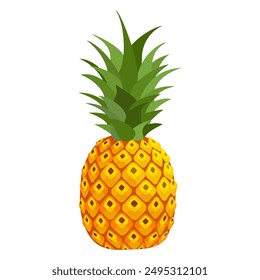 Pineapple. Illustration of pineapple fruit with isolated cartoon style on white. summer fruits, for a healthy and natural life,  Vector illustration.