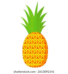 Pineapple. Illustration of pineapple fruit with isolated cartoon style on white. summer fruits, for a healthy and natural life,