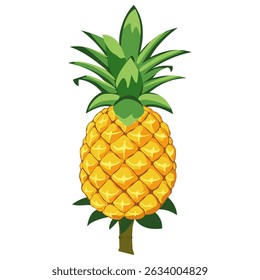 Pineapple. Illustration of pineapple fruit with isolated cartoon style on white background. summer fruits, for a healthy and natural life, Vector illustration.