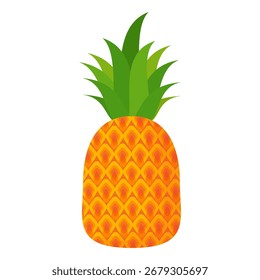 Pineapple. Illustration of pineapple fruit with isolated cartoon style on white. summer fruits, for a healthy and natural life,  Vector illustration